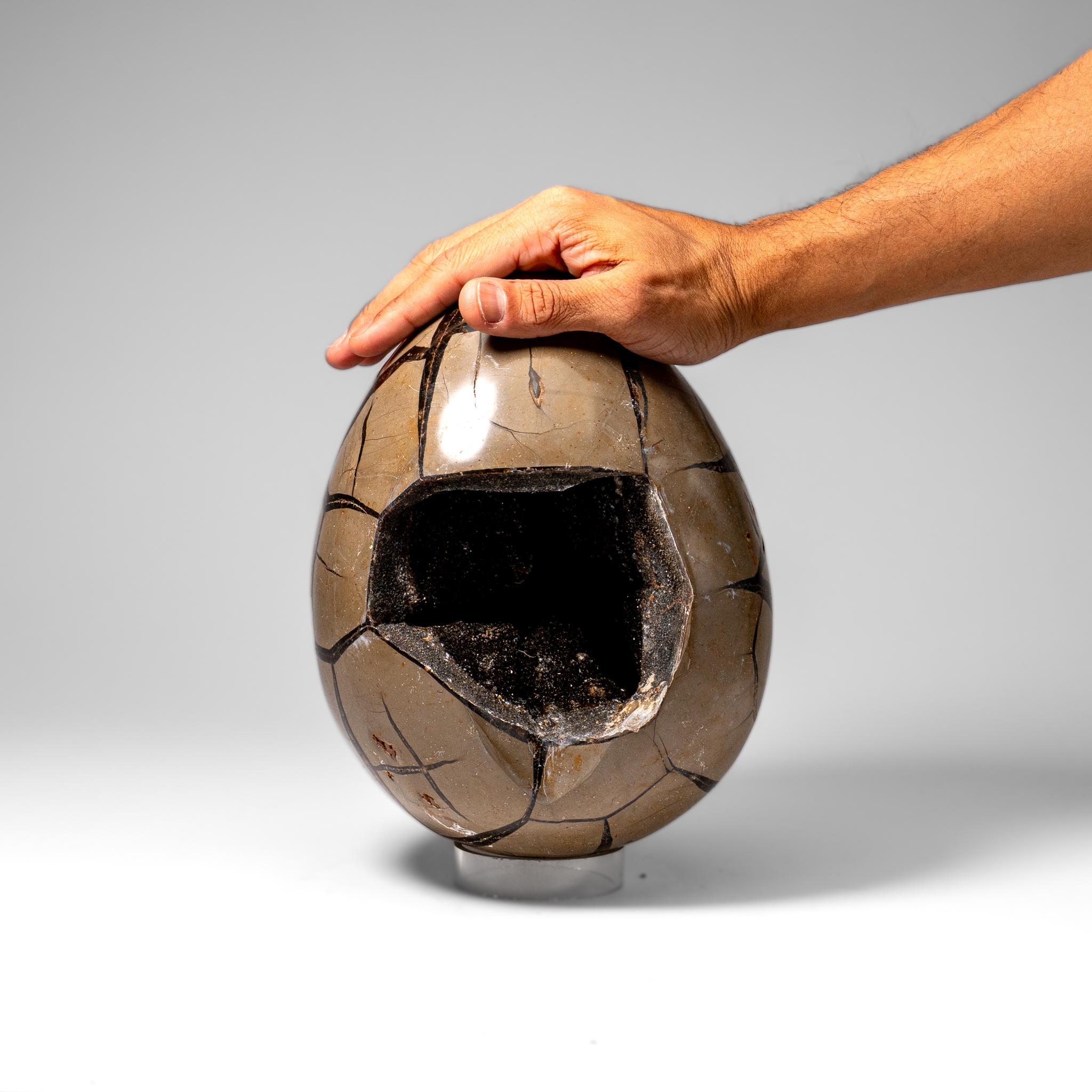 Malagasy Polished Septarian Druzy Geode Egg from Madagascar (20 lbs) For Sale