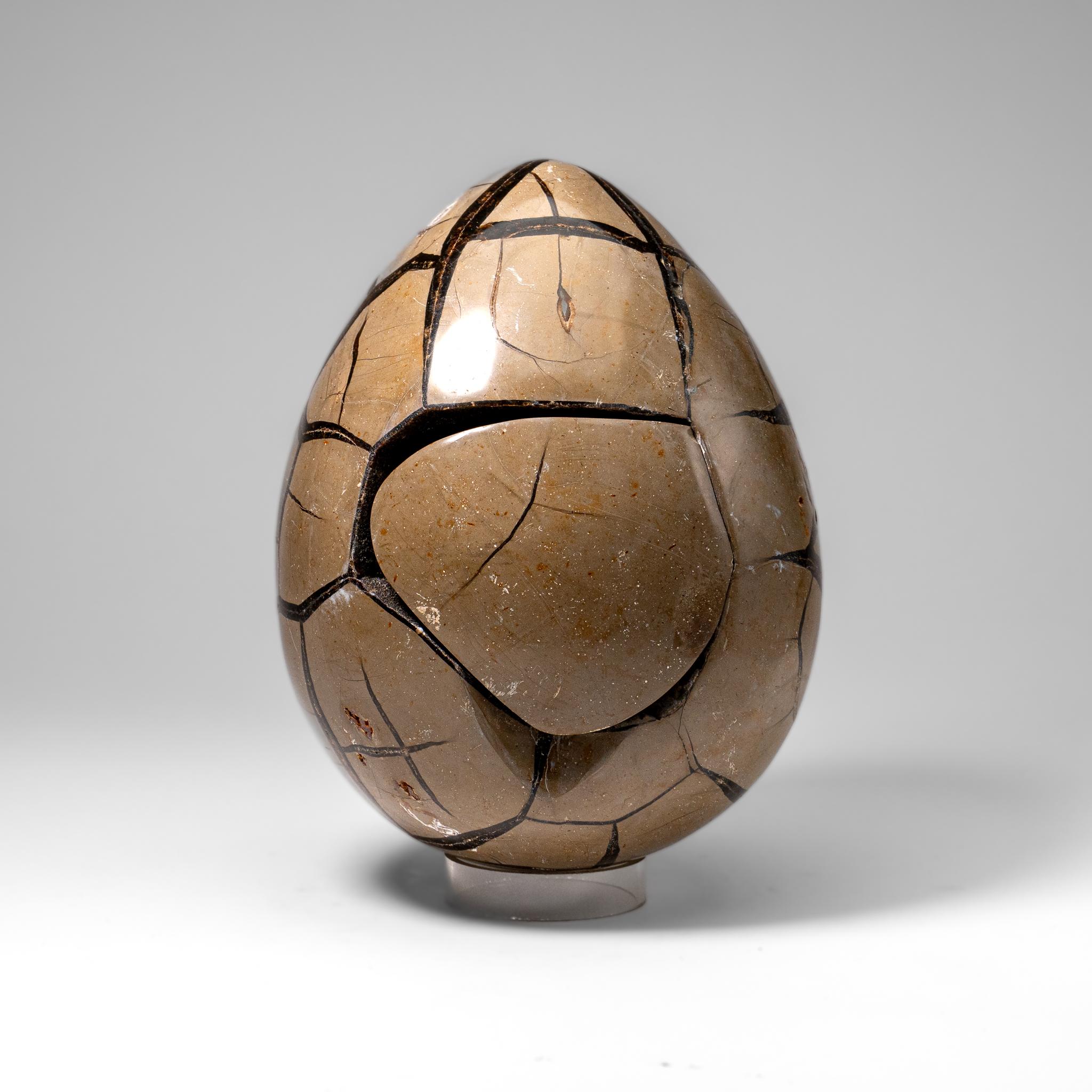 Polished Septarian Druzy Geode Egg from Madagascar (20 lbs) In New Condition For Sale In New York, NY