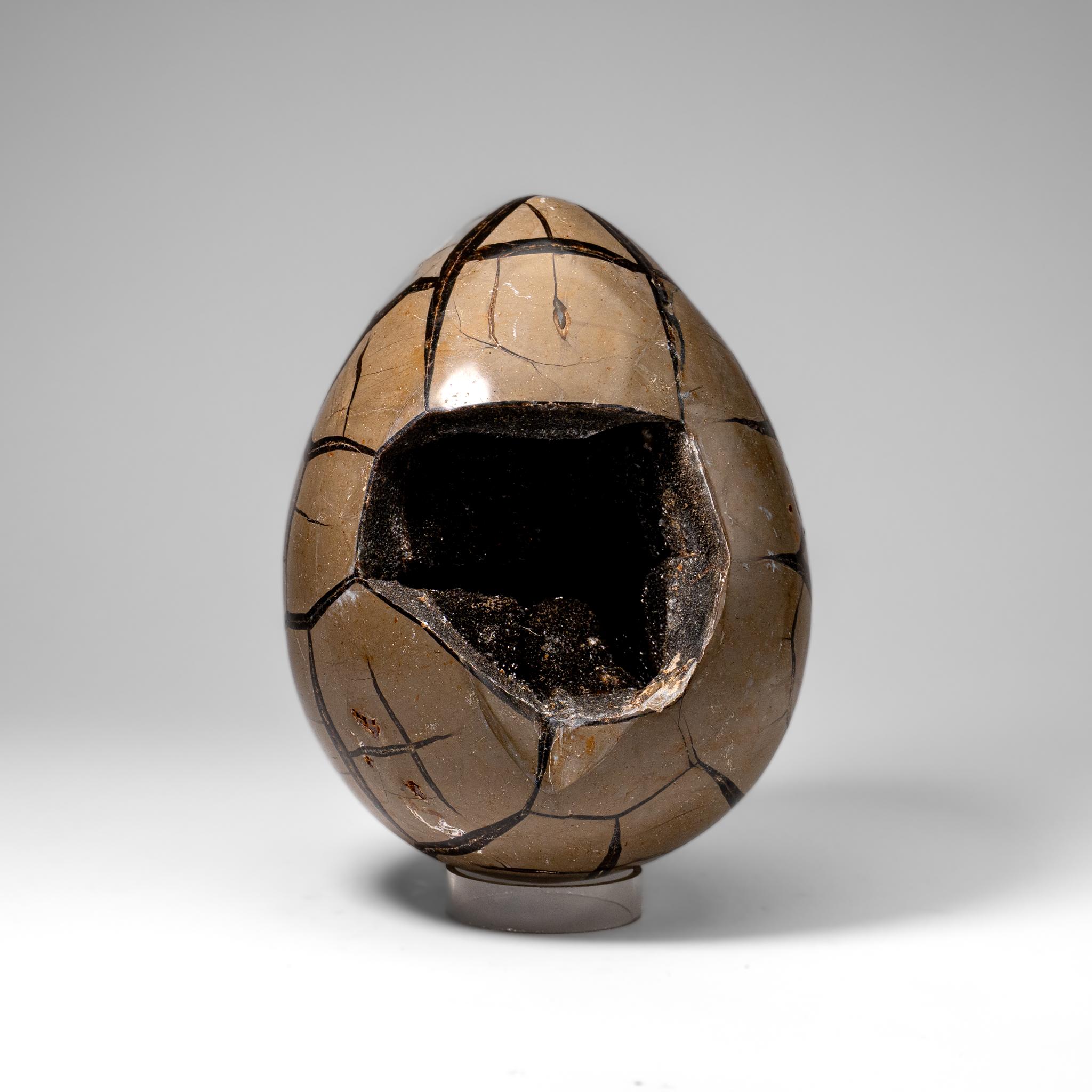 Contemporary Polished Septarian Druzy Geode Egg from Madagascar (20 lbs) For Sale