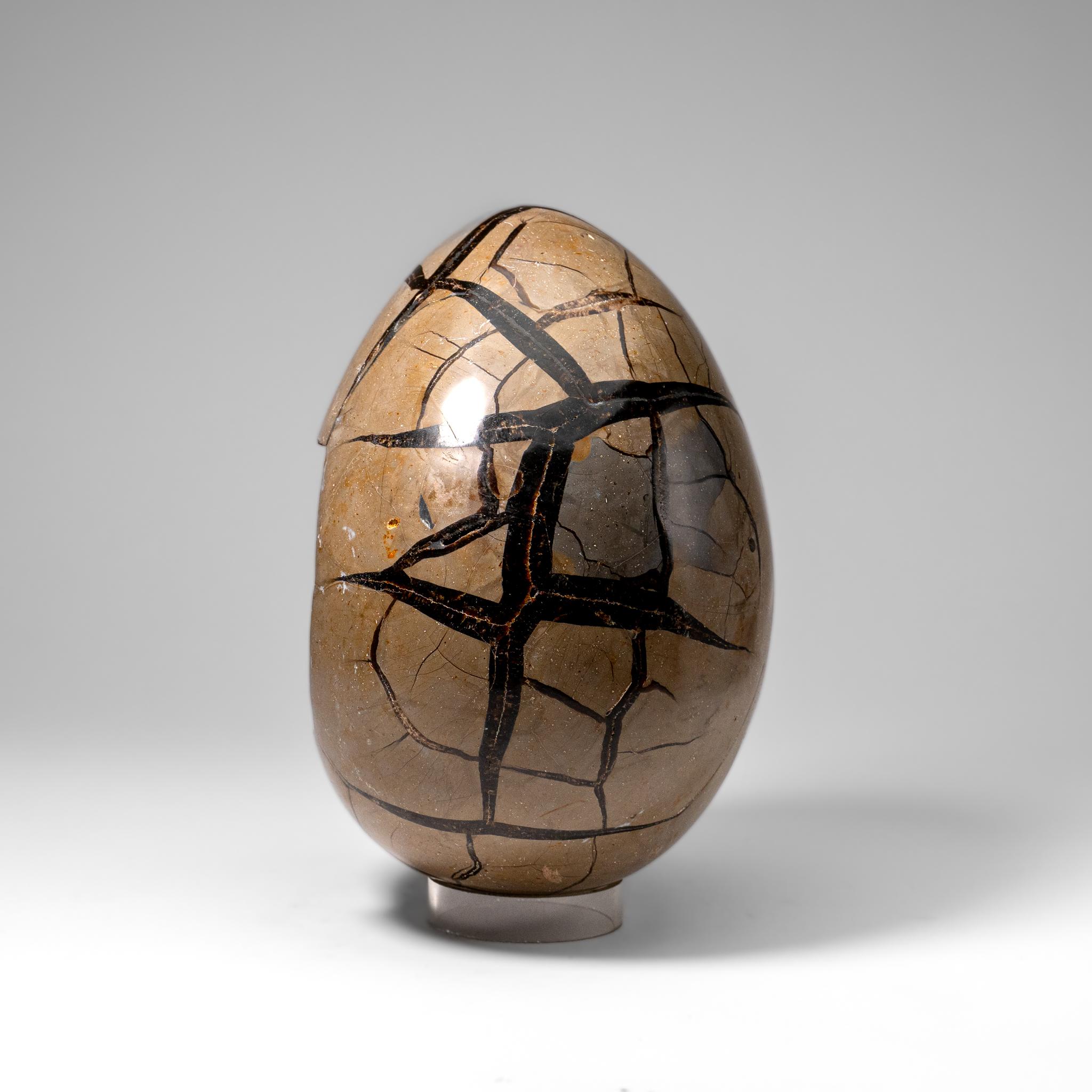 Polished Septarian Druzy Geode Egg from Madagascar (20 lbs) For Sale 1