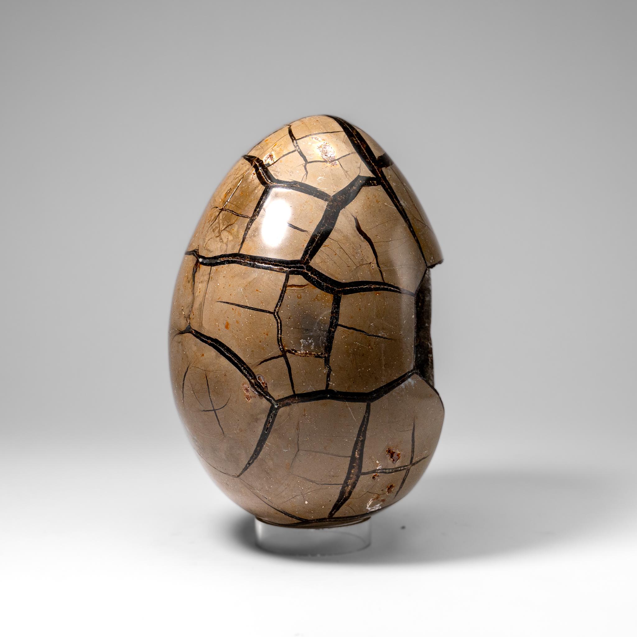 Polished Septarian Druzy Geode Egg from Madagascar (20 lbs) For Sale 3