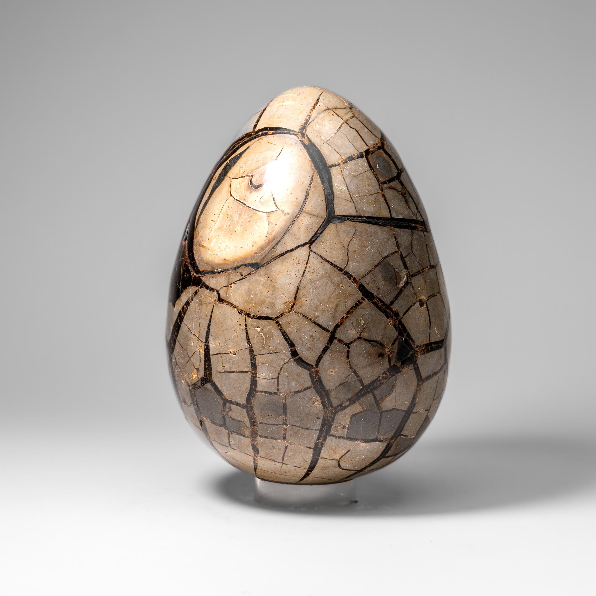 Uovo di geode druzico settario lucidato del Madagascar (24 lbs) in vendita 4