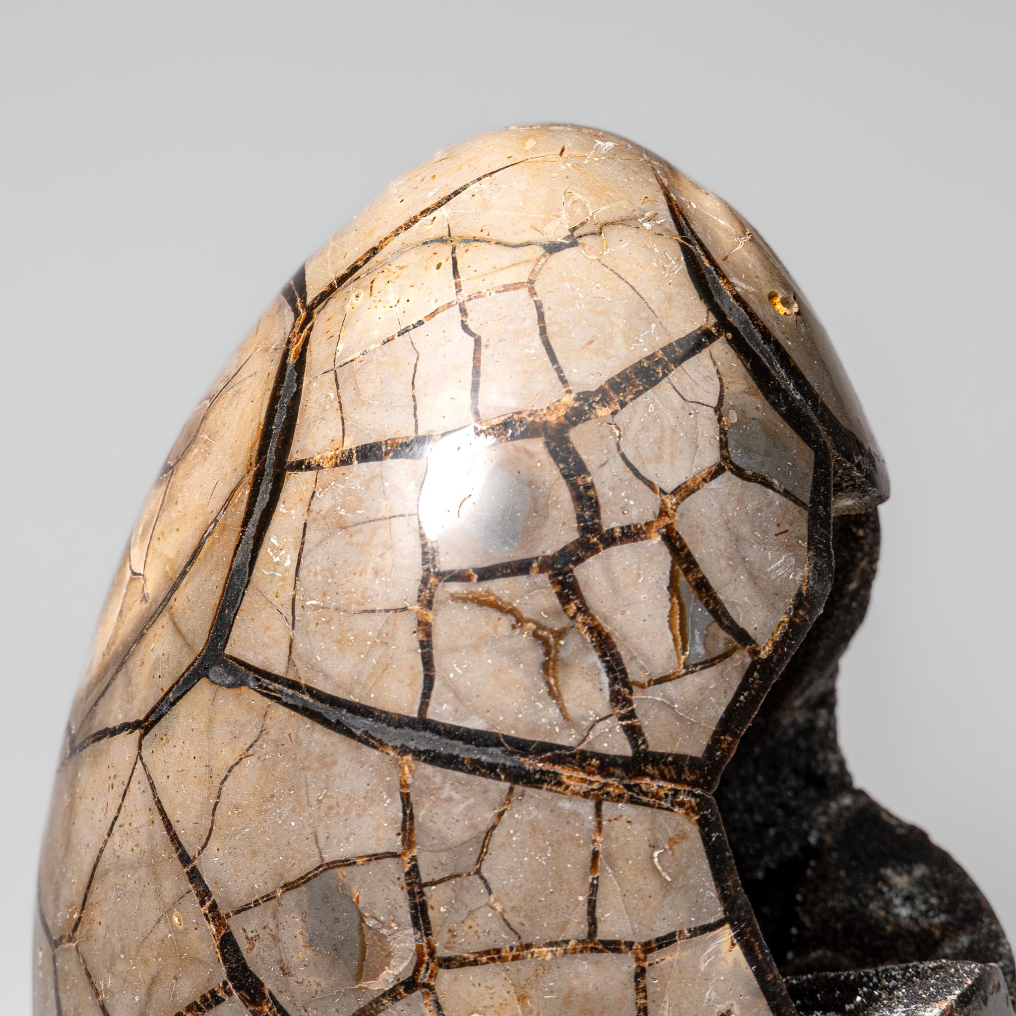 Uovo di geode druzico settario lucidato del Madagascar (24 lbs) in vendita 6