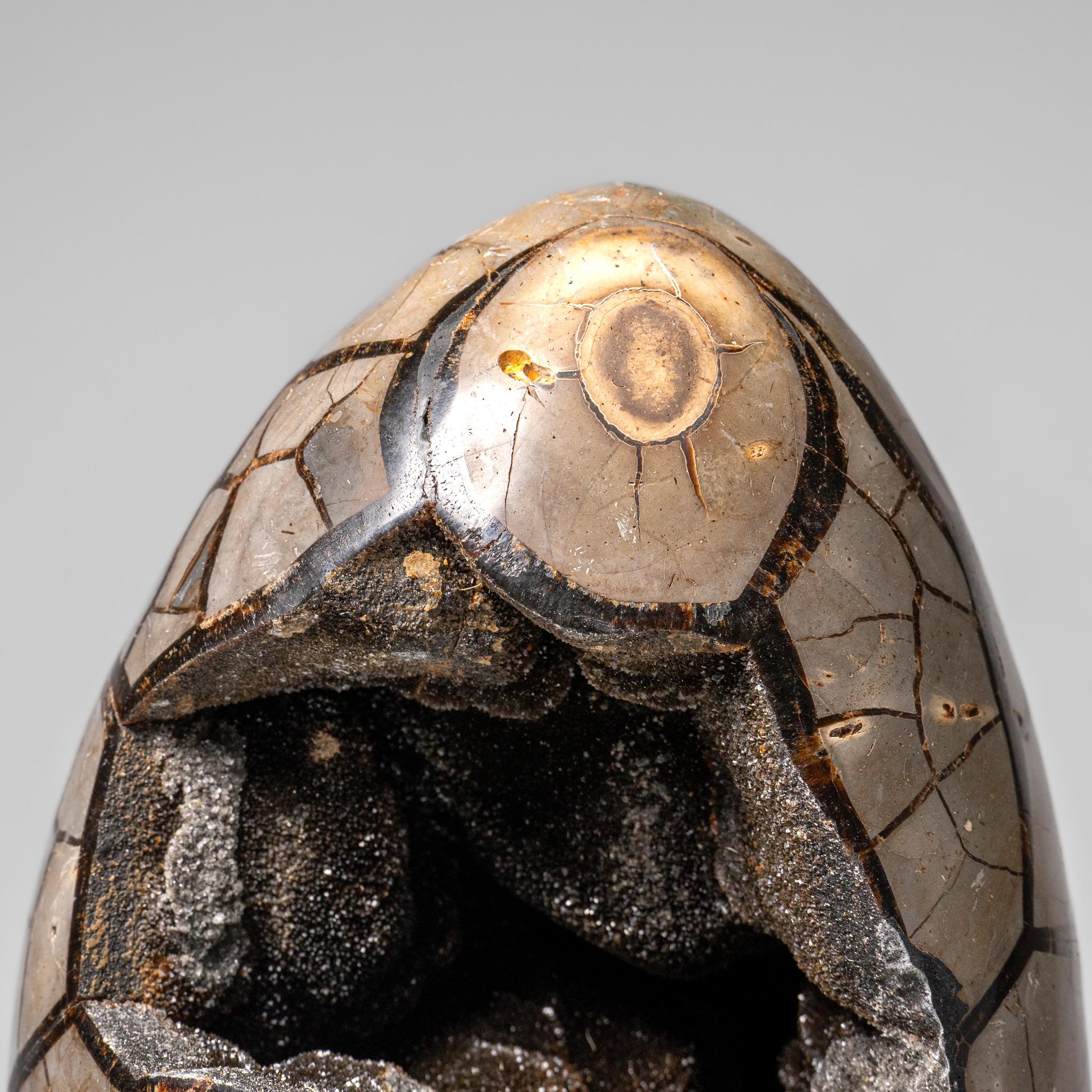 Uovo di geode druzico settario lucidato del Madagascar (24 lbs) in vendita 7