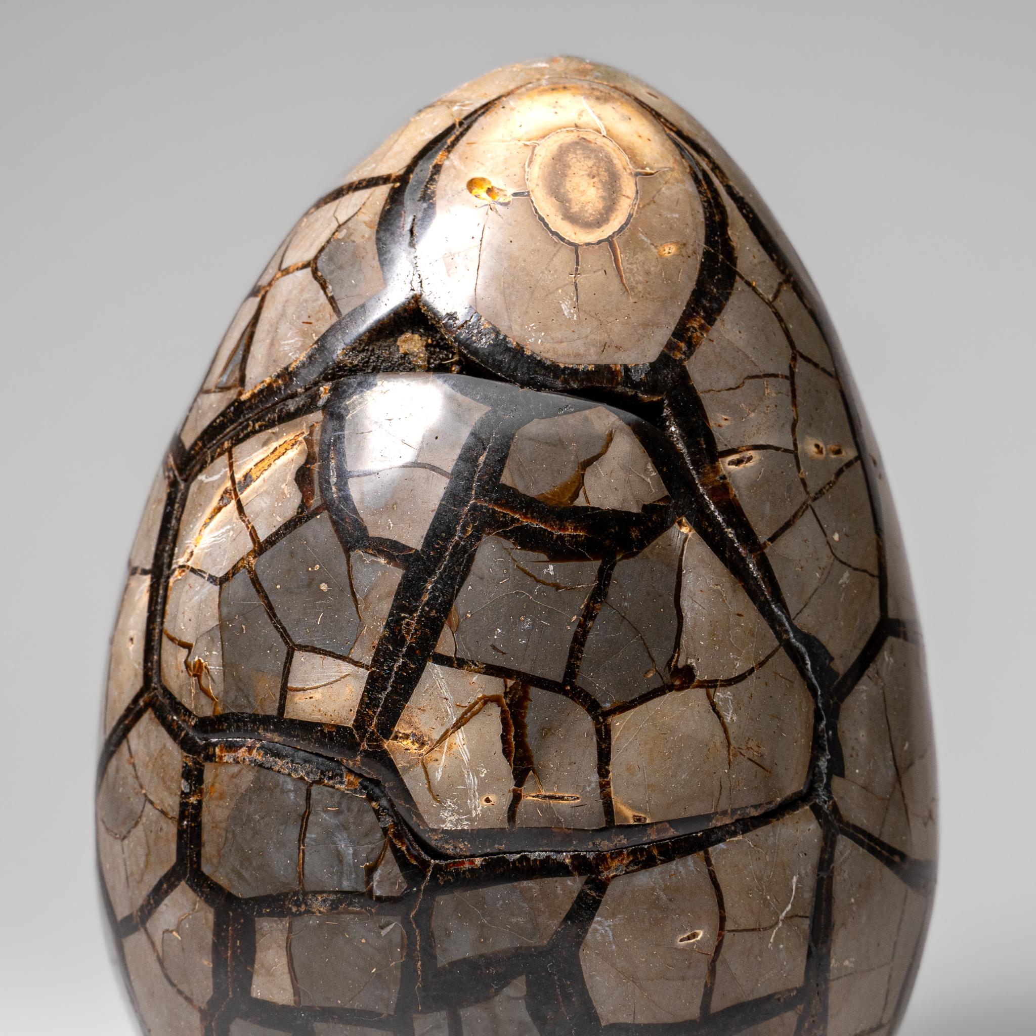 Uovo di geode druzico settario lucidato del Madagascar (24 lbs) in vendita 8