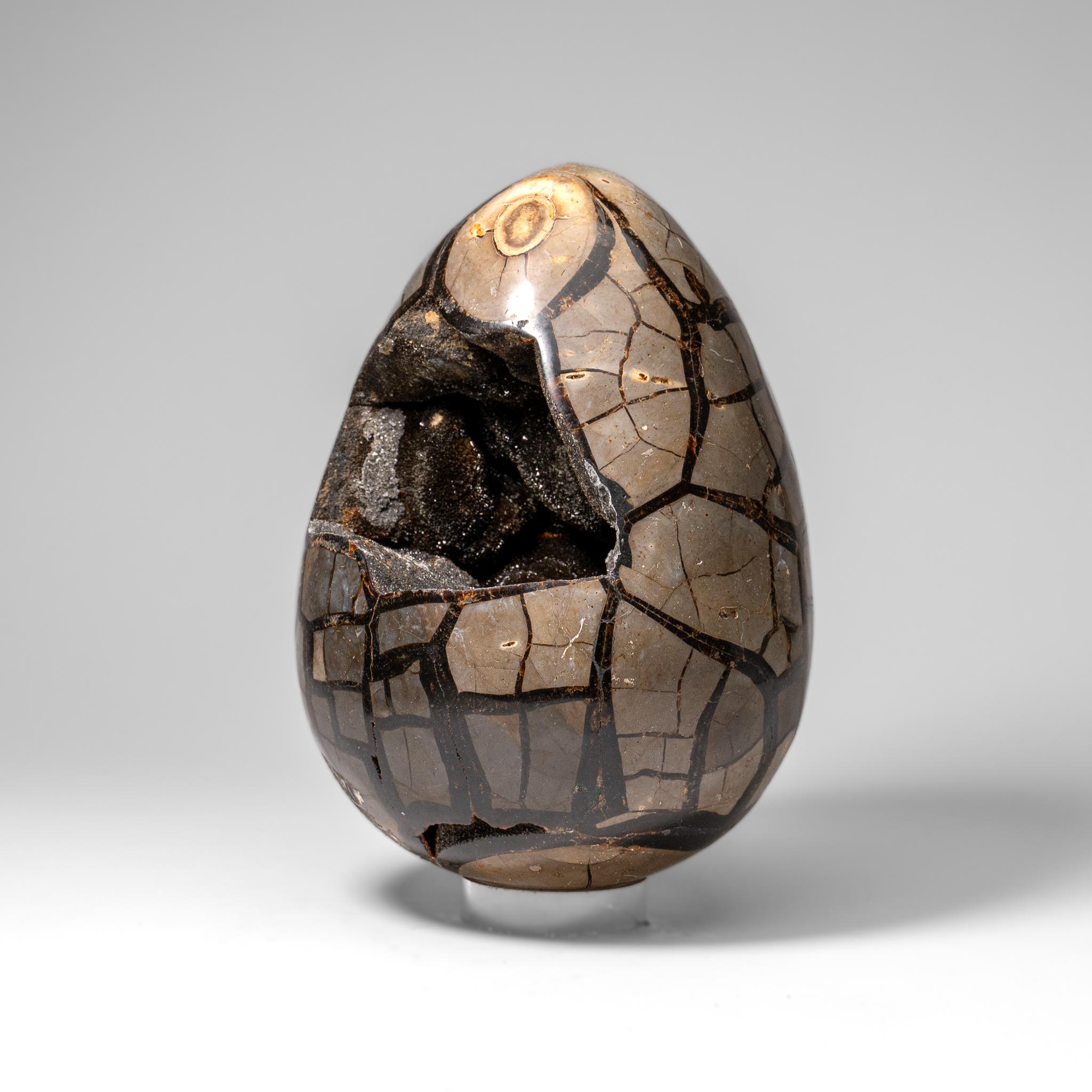 Uovo di geode druzico settario lucidato del Madagascar (24 lbs) In condizioni Nuovo in vendita a New York, NY