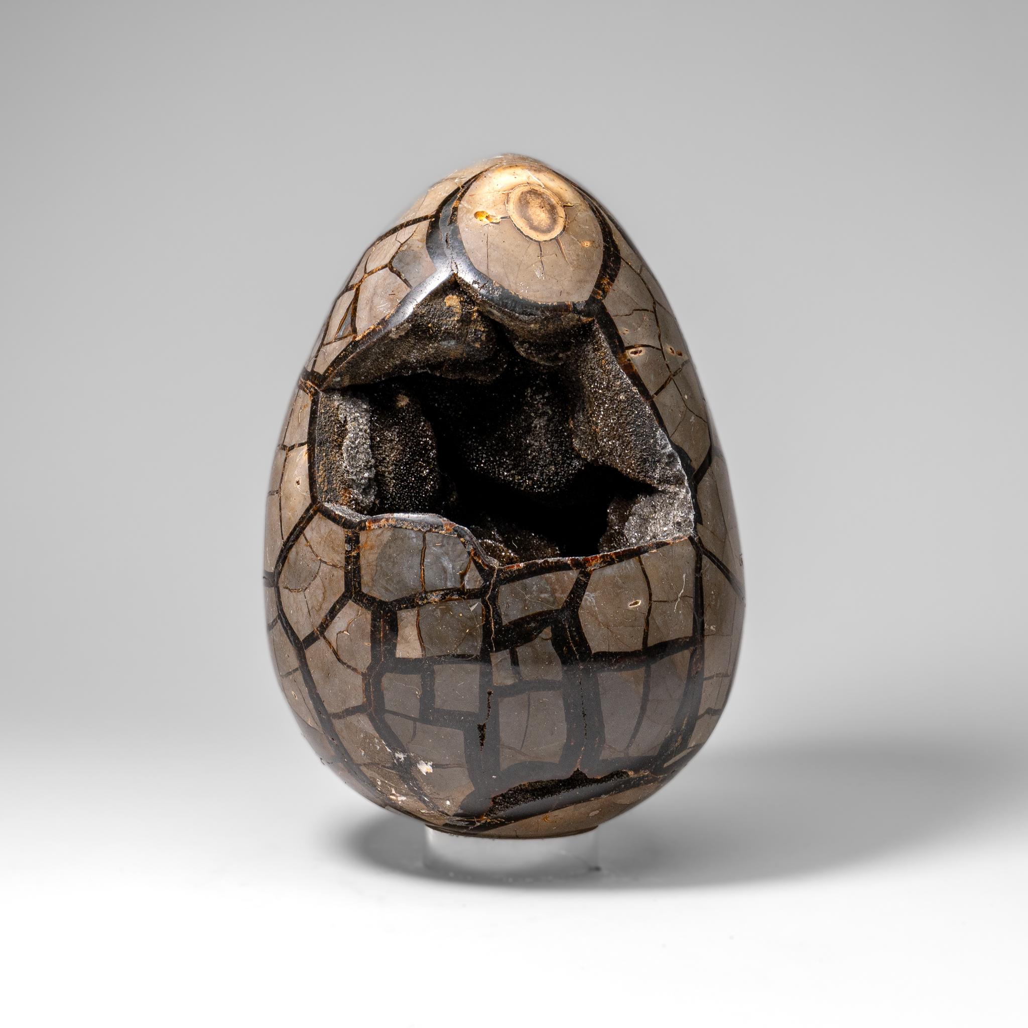 Altro Uovo di geode druzico settario lucidato del Madagascar (24 lbs) in vendita