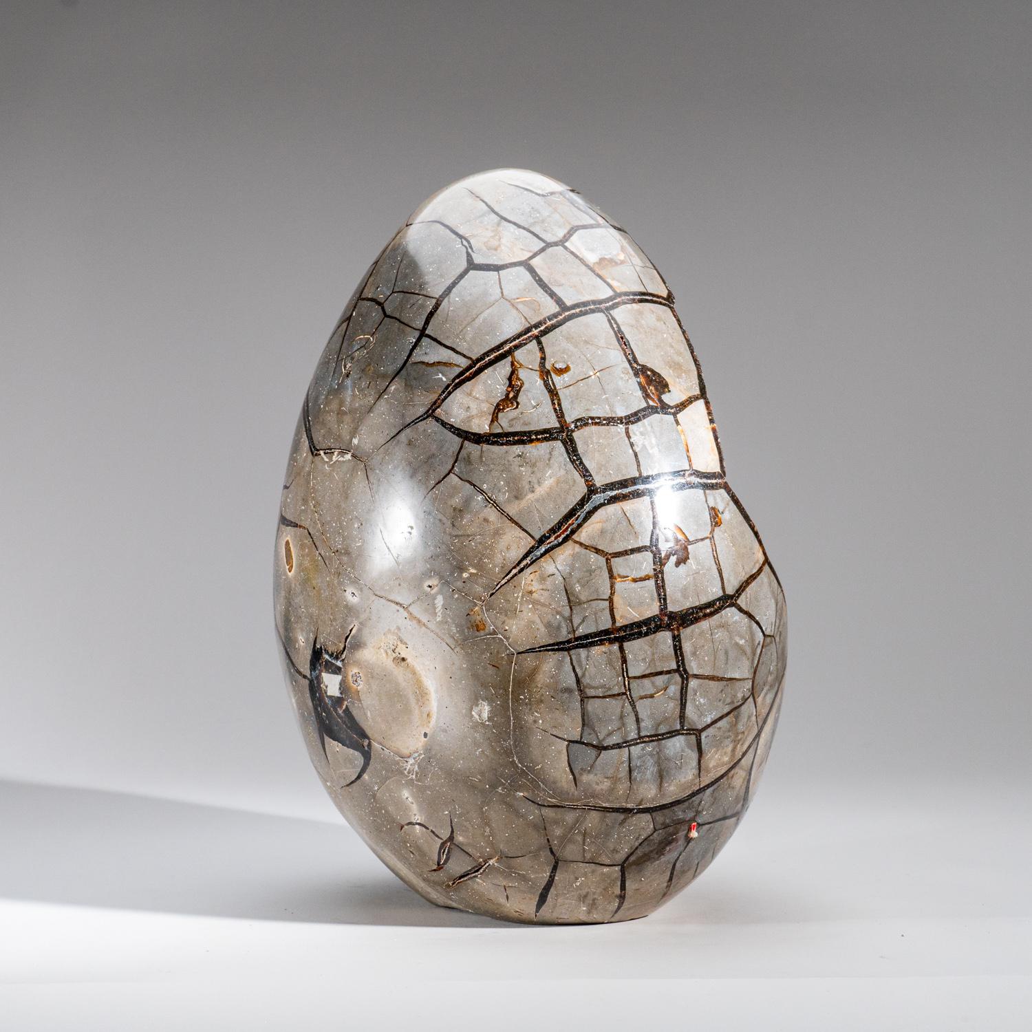Polished Septarian Druzy Geode Egg from Madagascar (30 lbs) For Sale 5