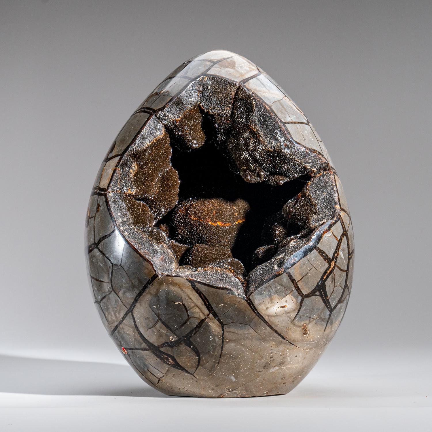 This 30 lb AAA quality polished geode egg with druzy inside from Madagascar features an exposed area lined with dazzling druzy quartz crystals, as well as a polished back side, providing a high reflective surface. Septarian is a combination of