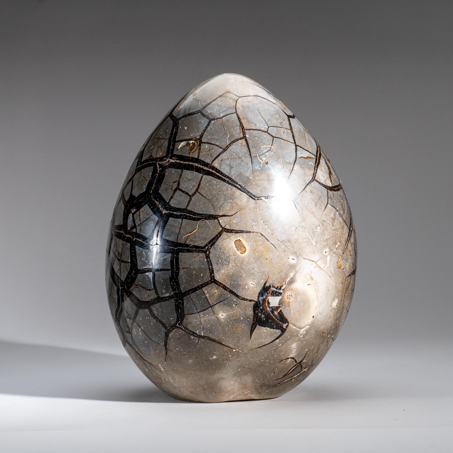 Polished Septarian Druzy Geode Egg from Madagascar (30 lbs) In New Condition For Sale In New York, NY