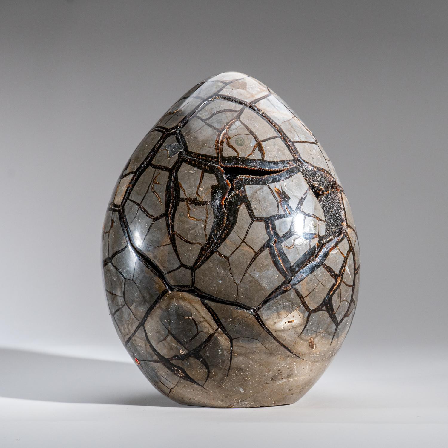 Contemporary Polished Septarian Druzy Geode Egg from Madagascar (30 lbs) For Sale