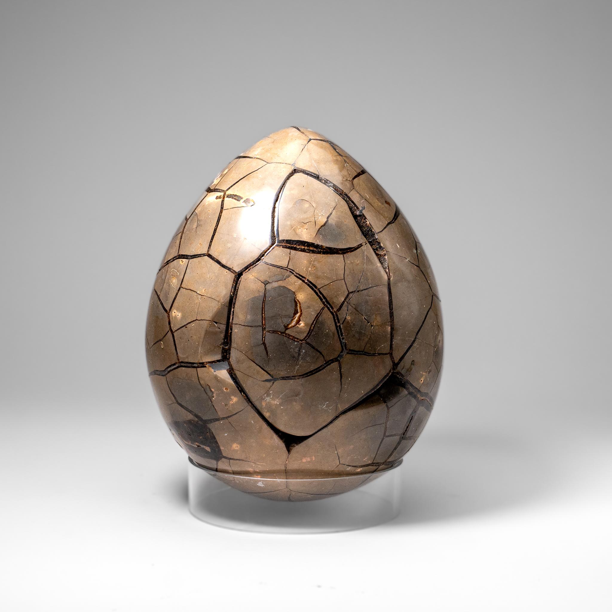 Uovo di geode druzico settario lucidato del Madagascar (30.5 lbs) in vendita 5