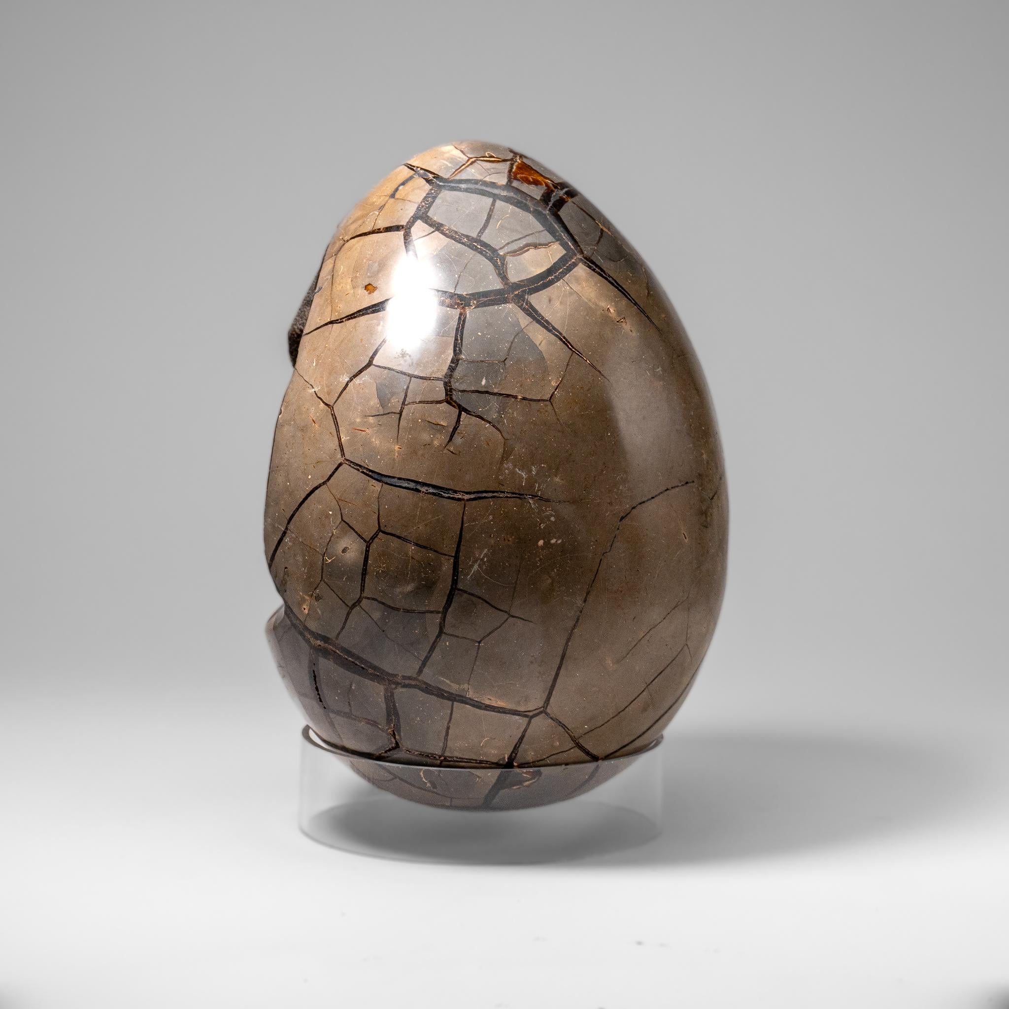 Uovo di geode druzico settario lucidato del Madagascar (30.5 lbs) in vendita 2