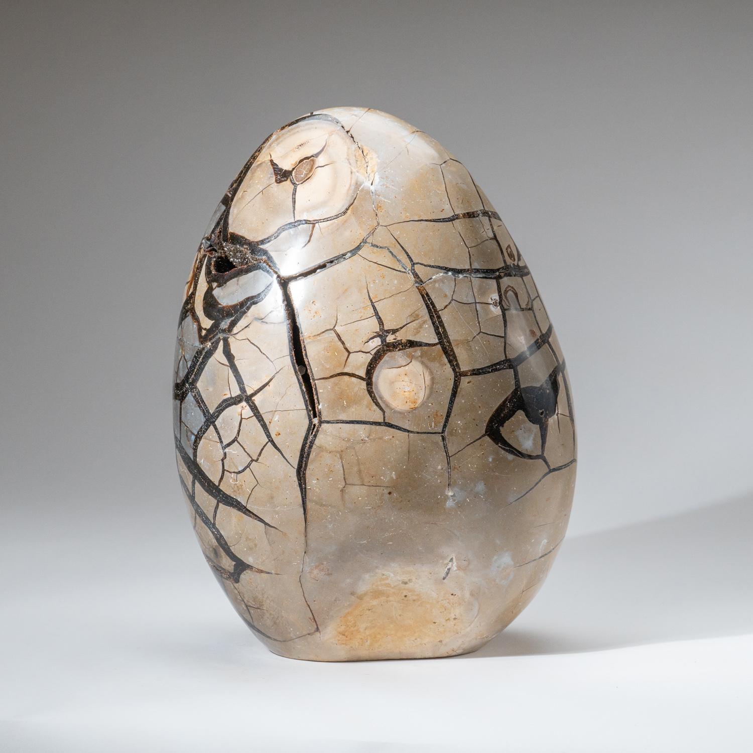 This 34 lb AAA quality Septarian Druzy Geode Egg from Madagascar features an exposed area lined with dazzling druzy quartz crystals, as well as a polished back side, providing a high reflective surface. Septarian is a combination of yellow calcite,