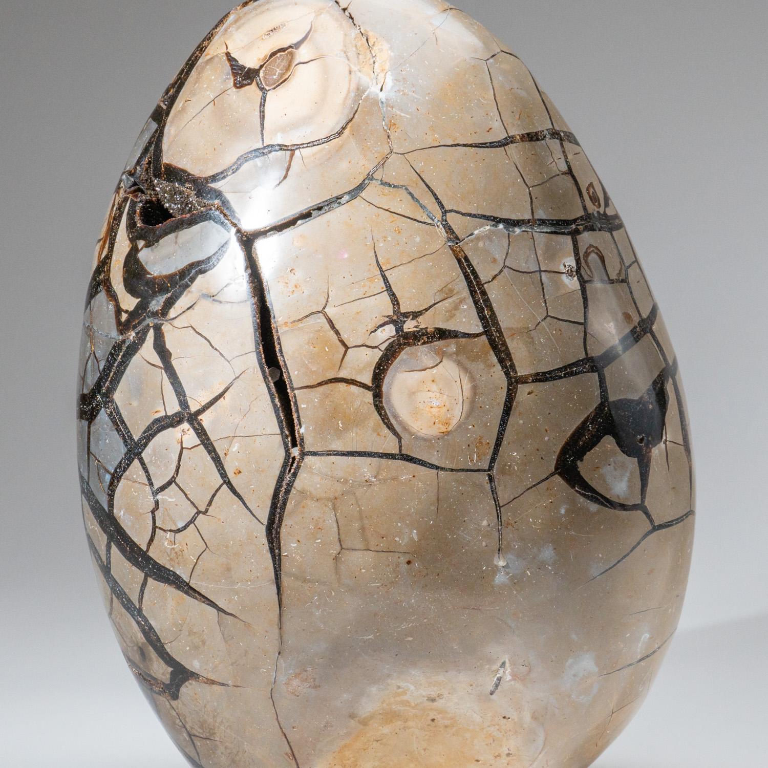 Polished Septarian Druzy Geode Egg from Madagascar (34 lbs) For Sale 1