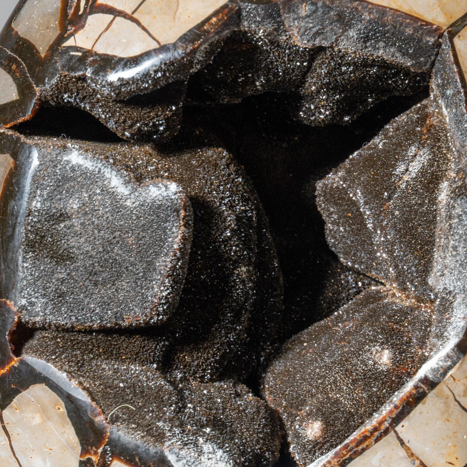 Cet œuf de géode de quartz druzy septarien de qualité AAA de 35 livres provenant de Madagascar présente une zone exposée tapissée de cristaux de quartz druzy éblouissants, ainsi qu'une face arrière polie, offrant une surface hautement
