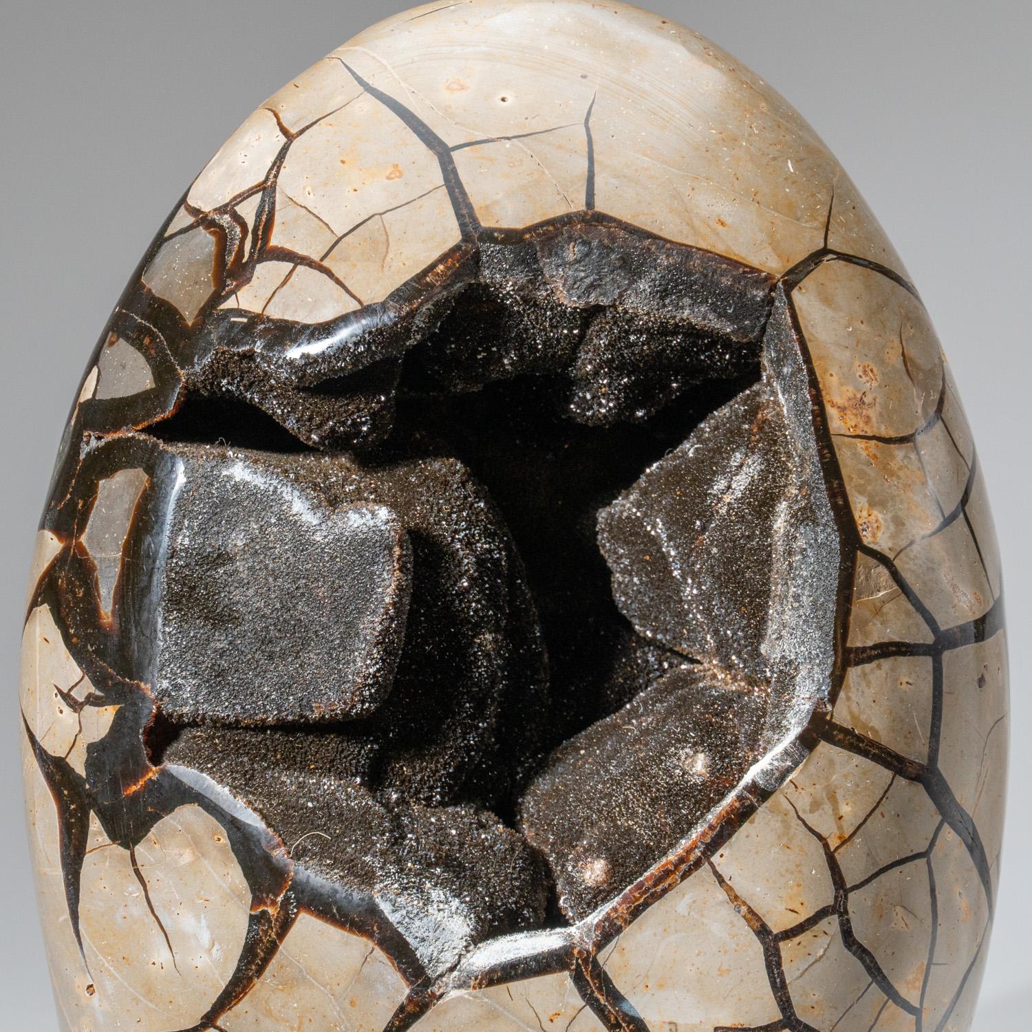 Malagasy Polished Septarian Druzy Geode Egg from Madagascar (35 lbs) For Sale