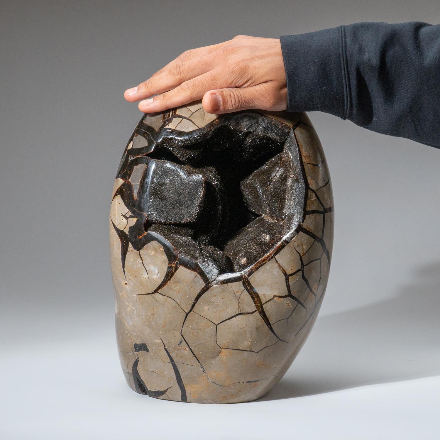 Polished Septarian Druzy Geode Egg from Madagascar (35 lbs) In New Condition For Sale In New York, NY