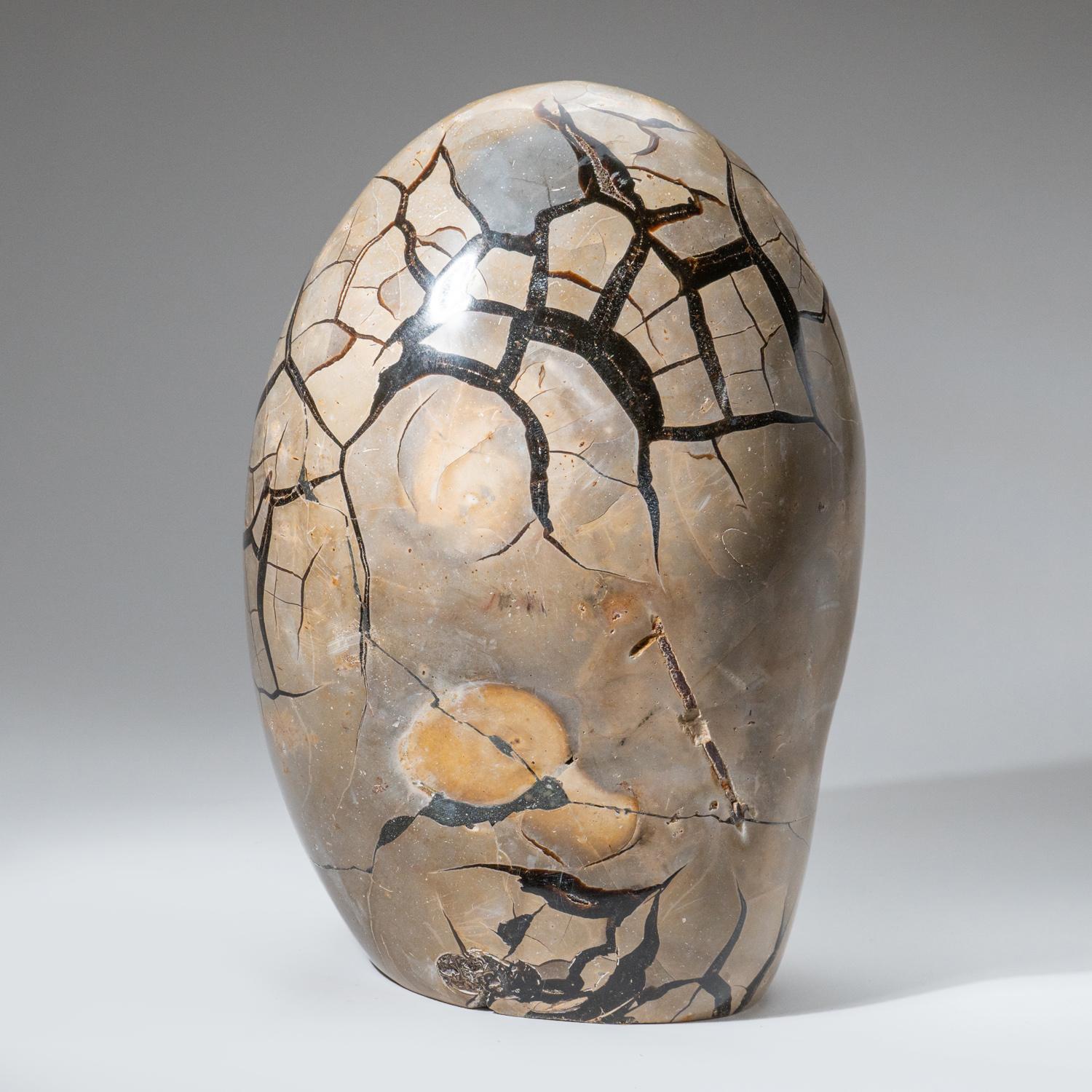 Contemporary Polished Septarian Druzy Geode Egg from Madagascar (35 lbs) For Sale