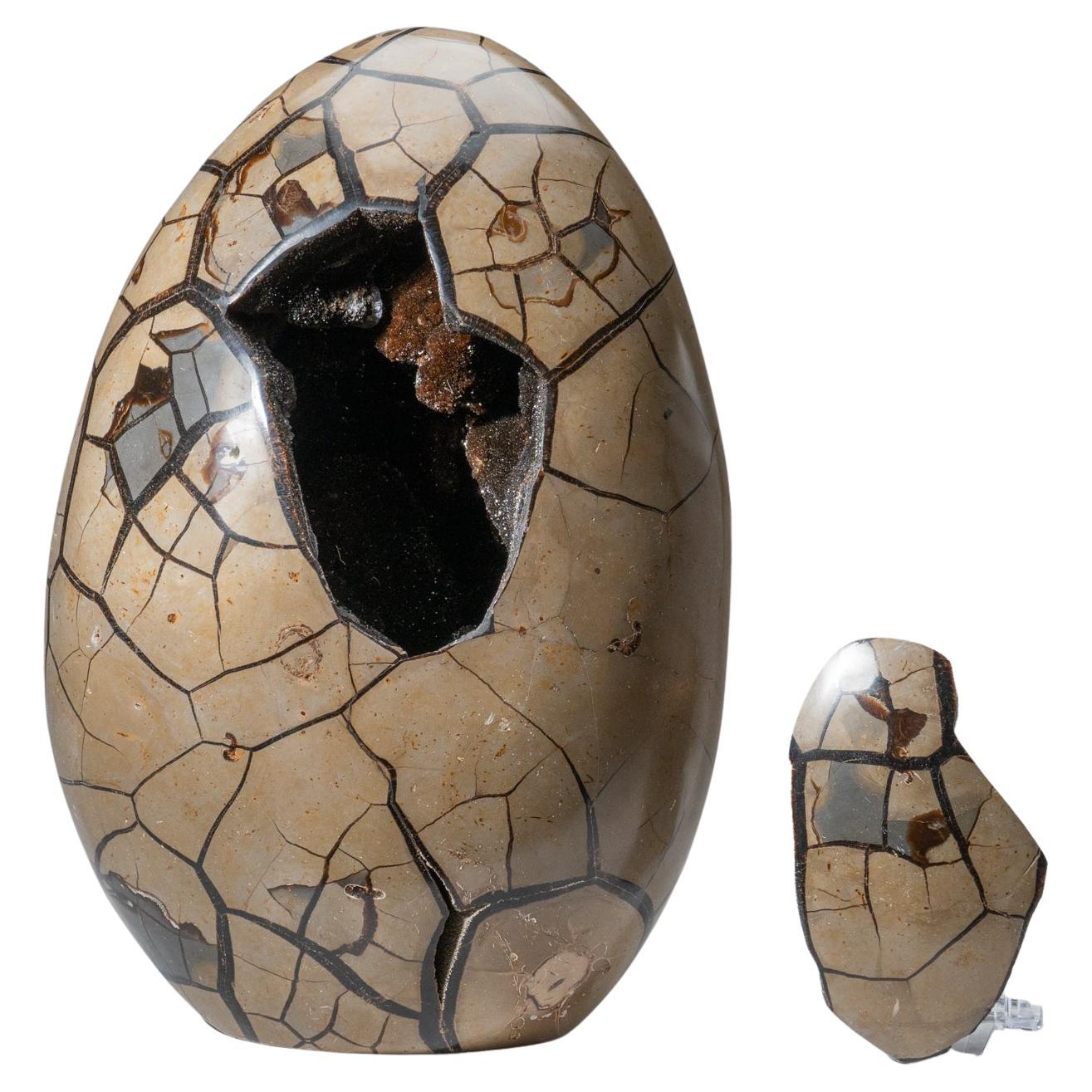Poliertes Septarian Druzy Geode-Ei aus Madagaskar (43.5 lbs)