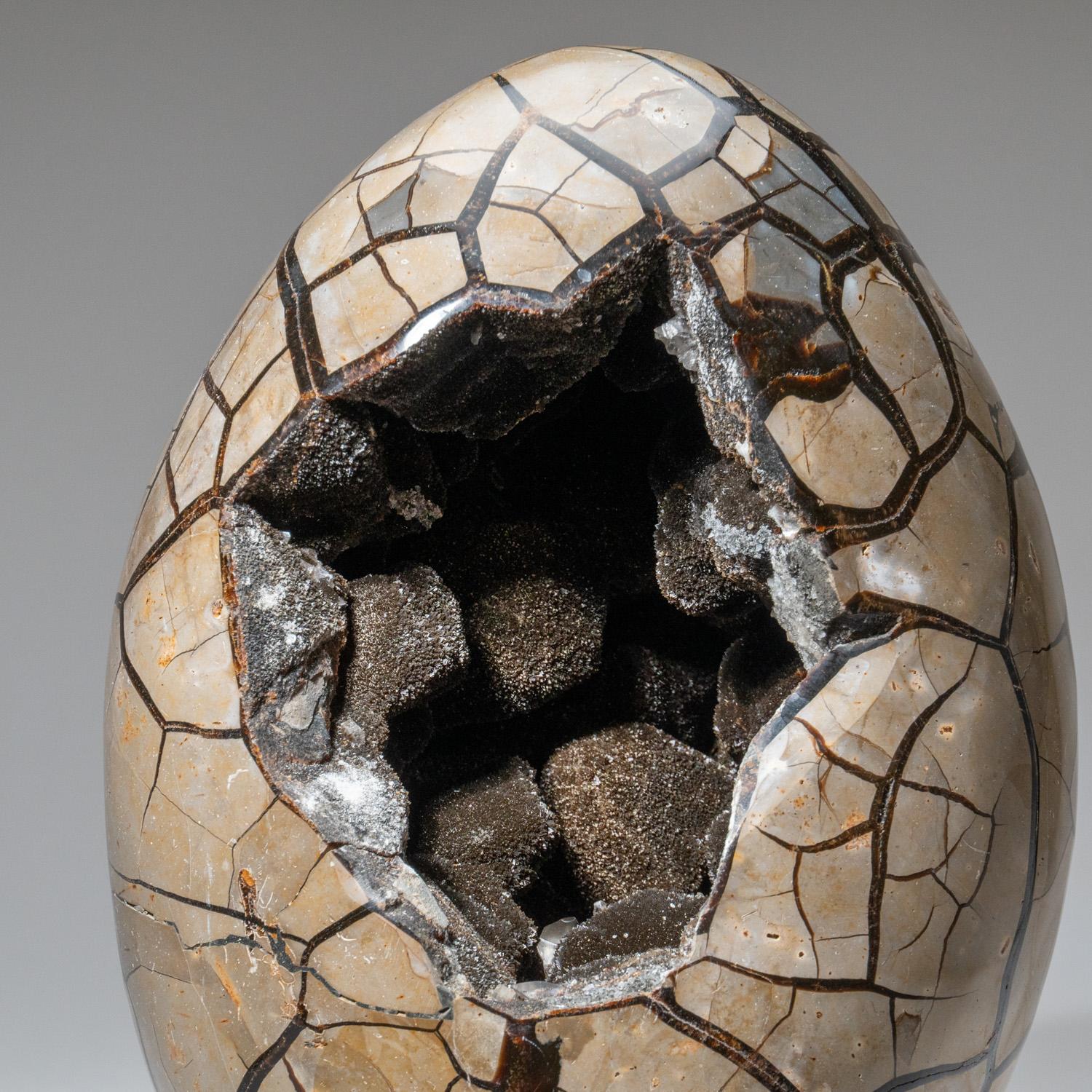 Malagasy Polished Septarian Druzy Geode Egg from Madagascar (44.5 lbs) For Sale