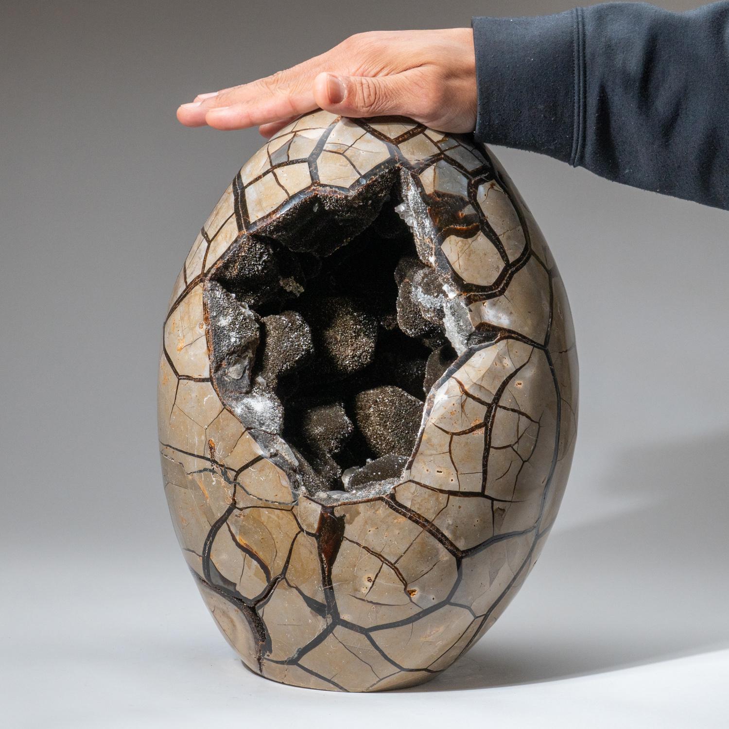Contemporary Polished Septarian Druzy Geode Egg from Madagascar (44.5 lbs) For Sale