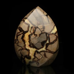 Polished Septarian Freeform Sculpture – Natural Décor Accent