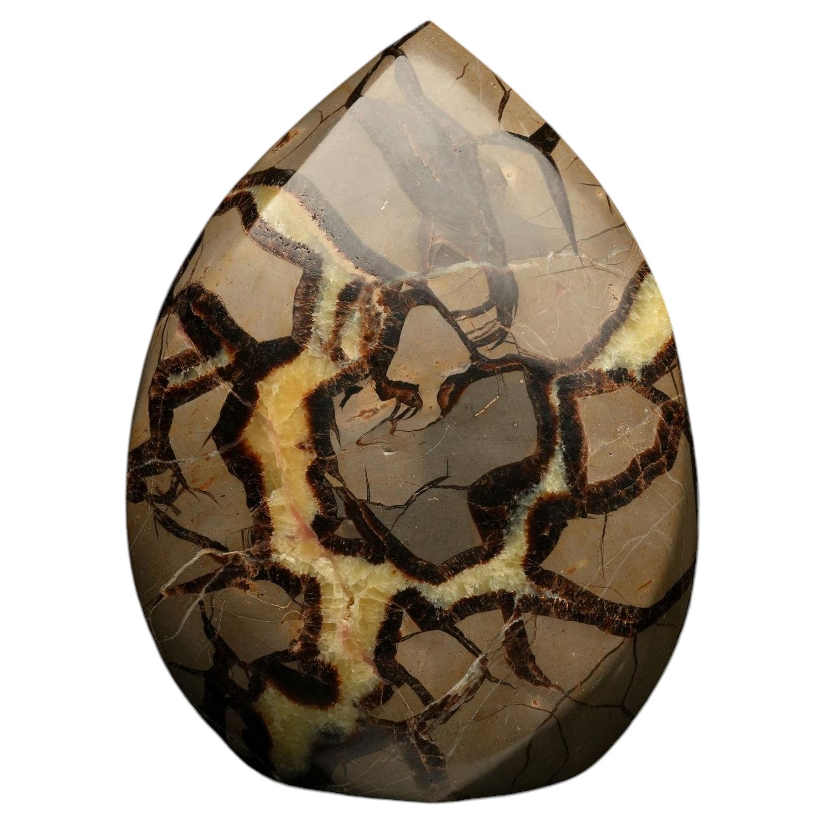 Polished Septarian Freeform Sculpture – Natural Décor Accent