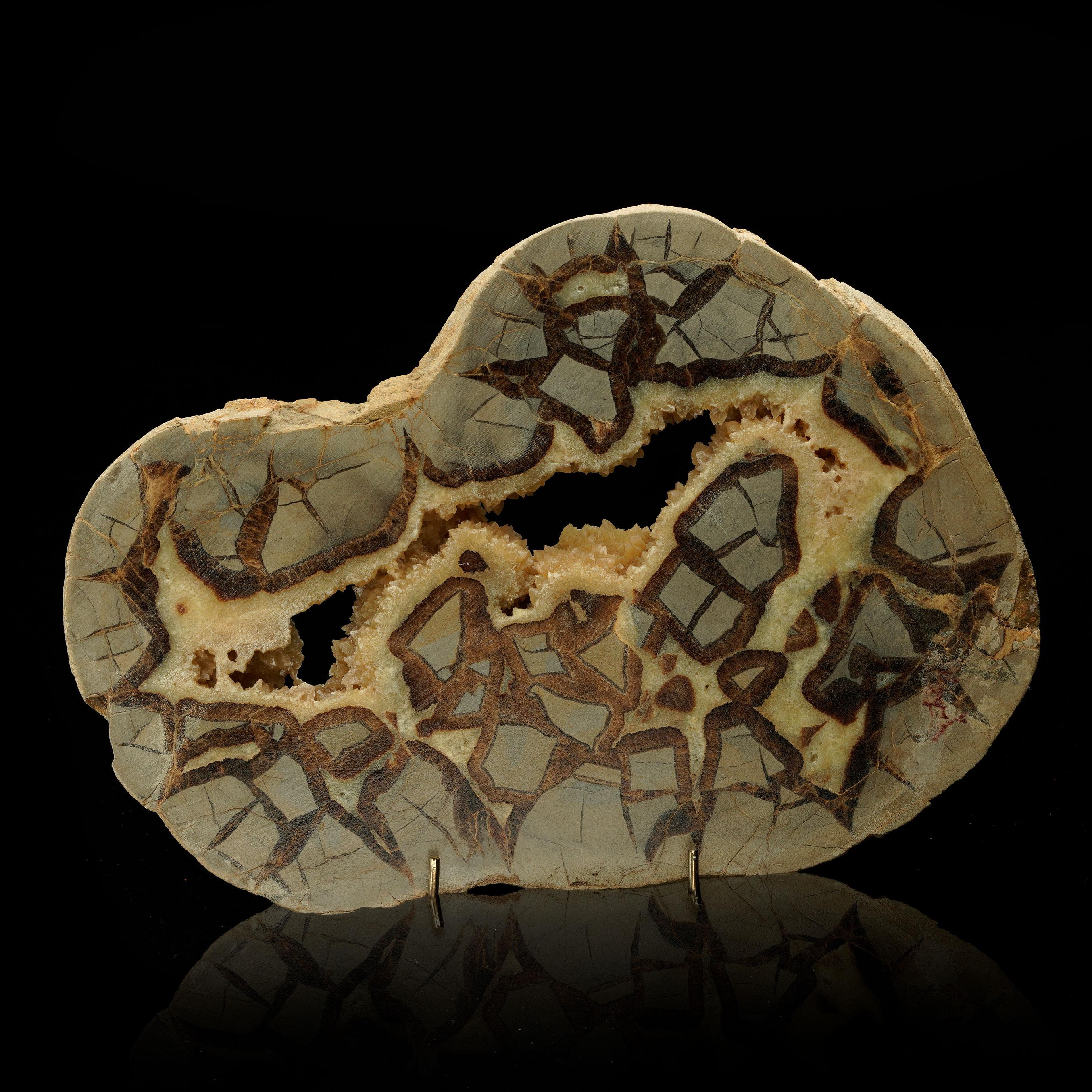 Questo squisito nodulo settario lucidato del Madagascar è un capolavoro geologico unico nel suo genere. I suoi straordinari motivi naturali, caratterizzati da calcite gialla e vibrante, aragonite marrone intenso e calcare grigio e morbido, creano un