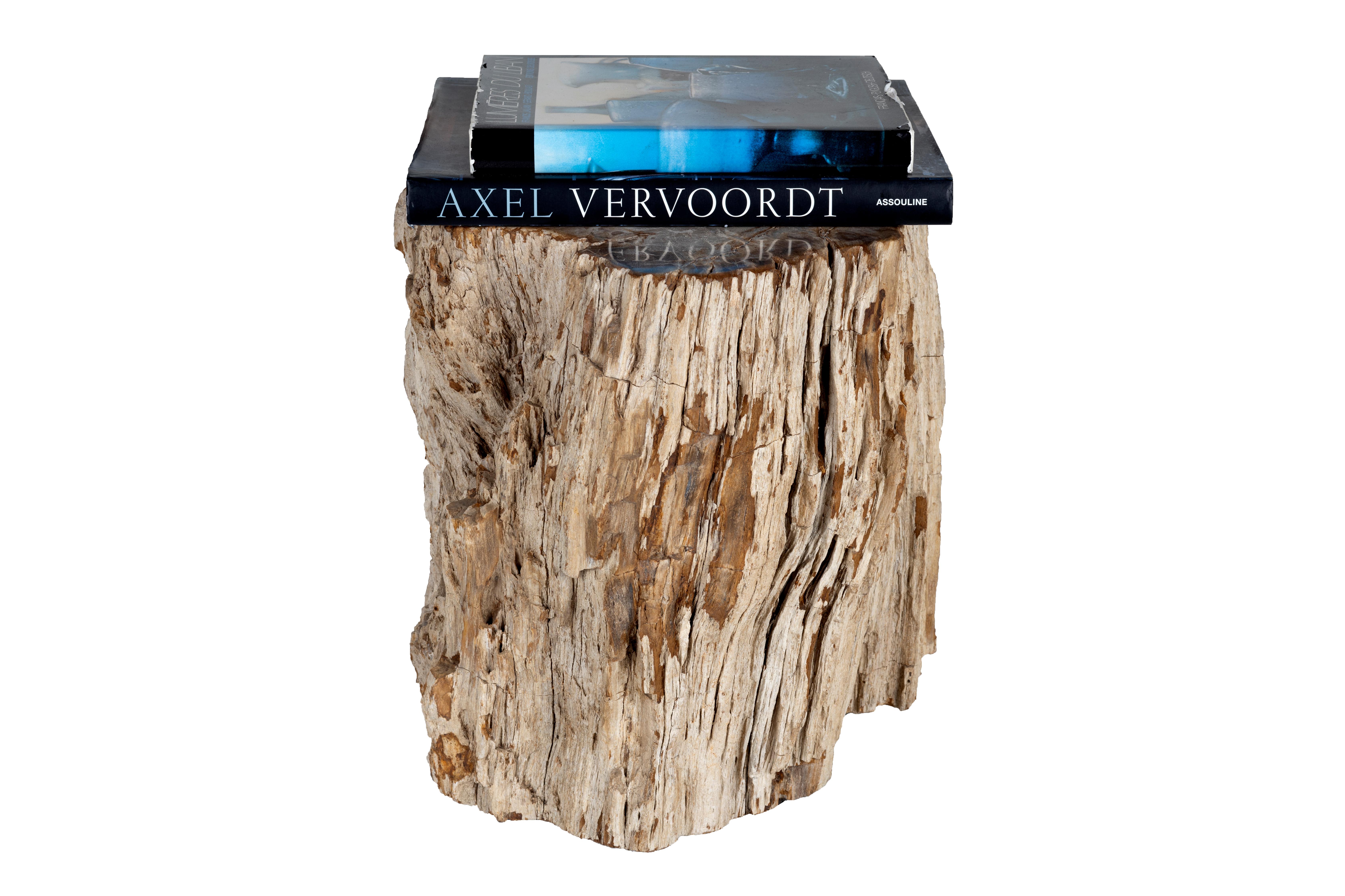 Organic Modern Polished Stone Wood Side Table with Bark Edge For Sale