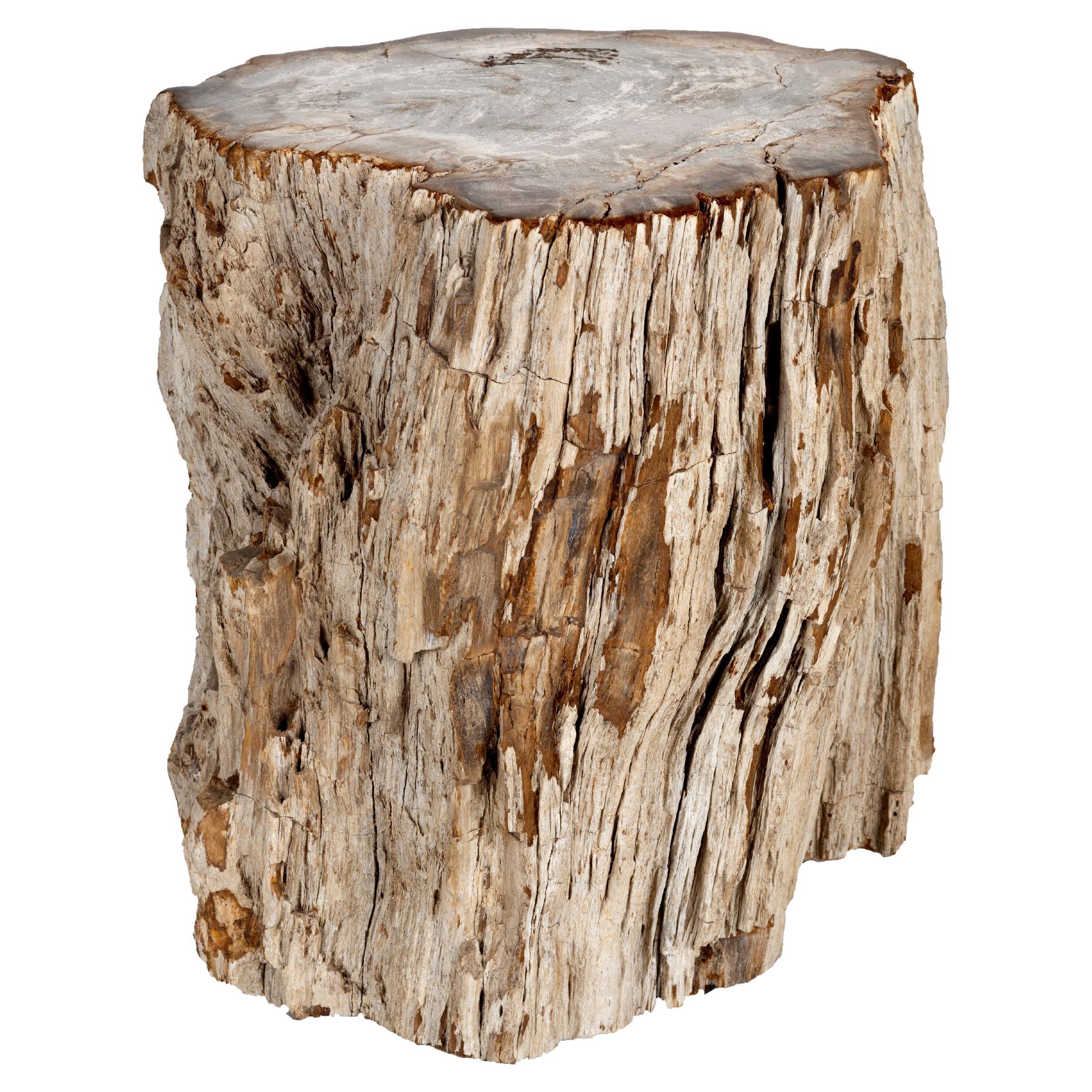 Polished Stone Wood Side Table with Bark Edge For Sale