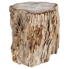 Polished Stone Wood Side Table with Bark Edge