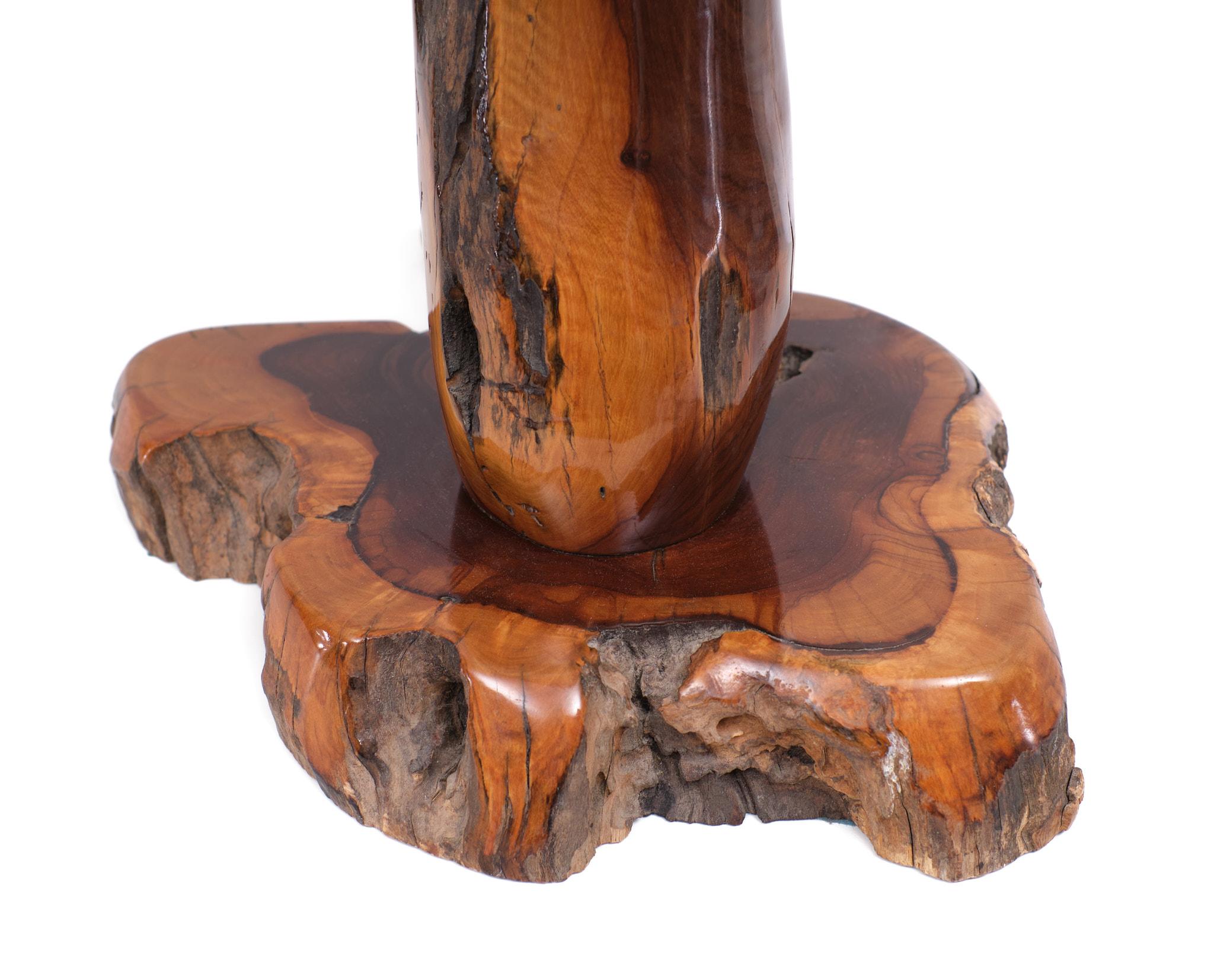 Polished Tree Trunk Table Lamp, 1970s For Sale 1
