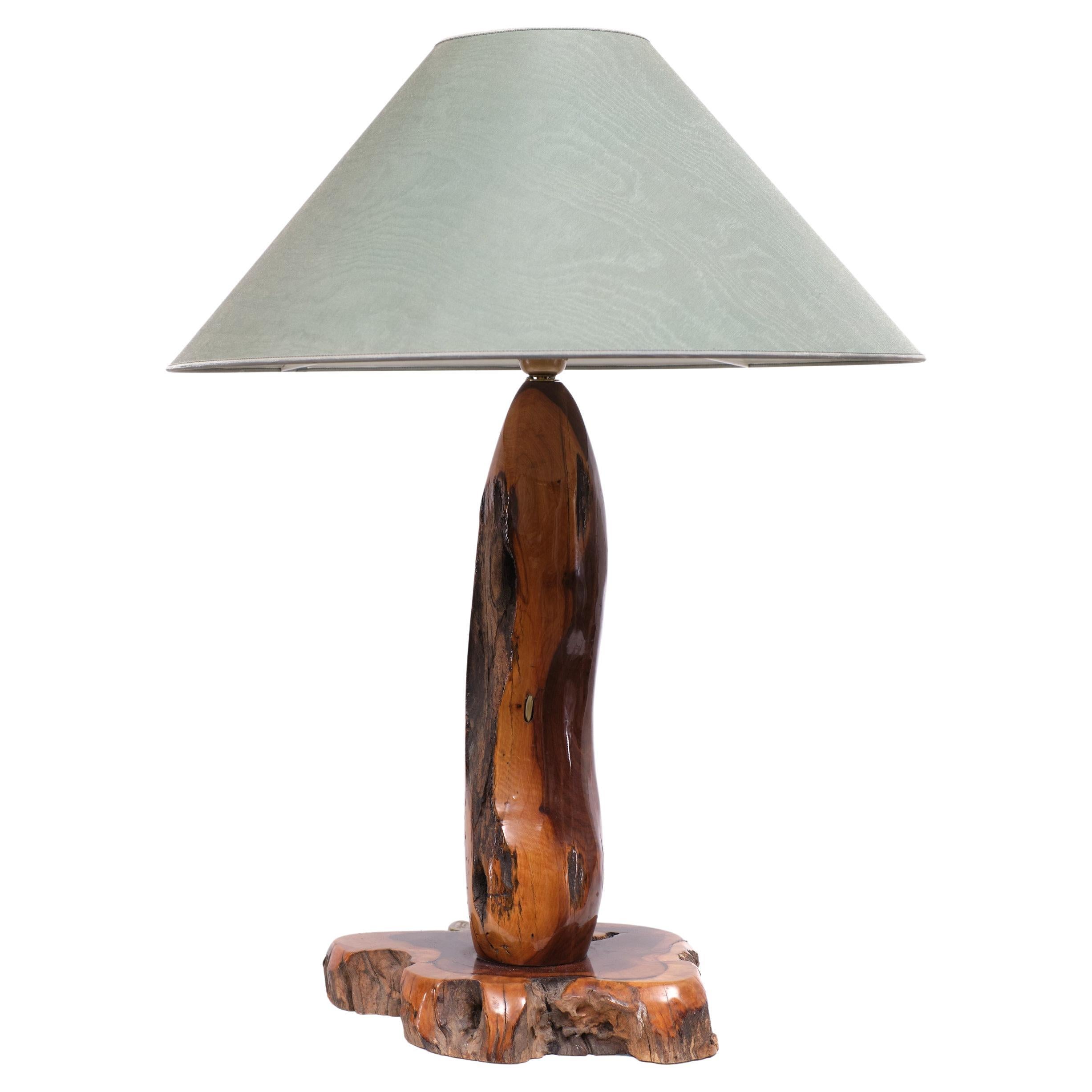 Polished Tree Trunk Table Lamp, 1970s For Sale