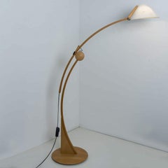 Pollo Floor Lamp by Domus, Germany, 1970s