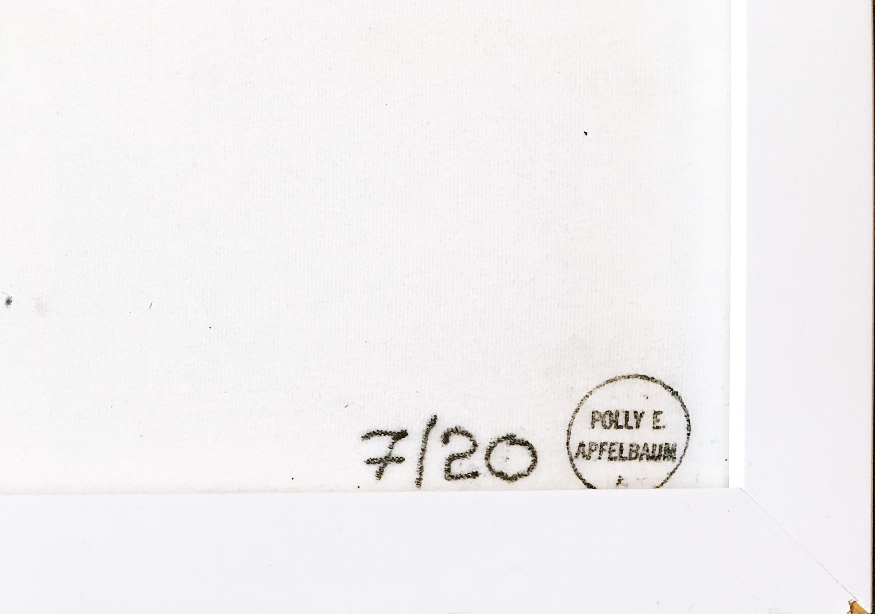 Farbkreis und Stern, Marker auf Stoff Druck Handsigniert (ed von nur 20) Gerahmt (Geometrische Abstraktion), Art, von Polly Apfelbaum