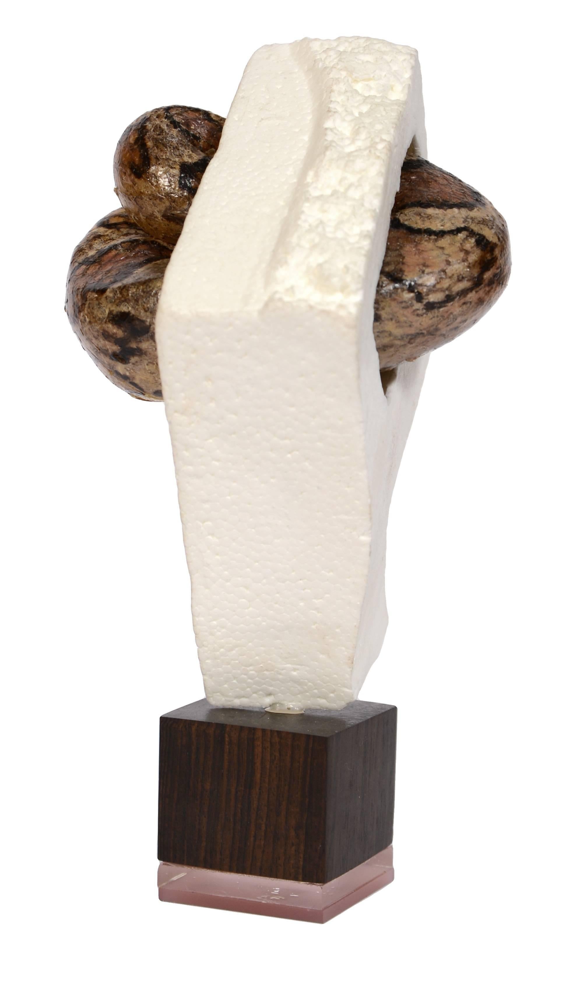 snake taxidermy for sale