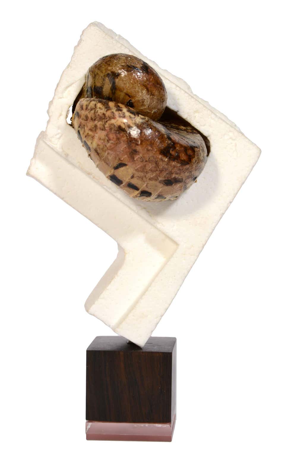 More than Ever