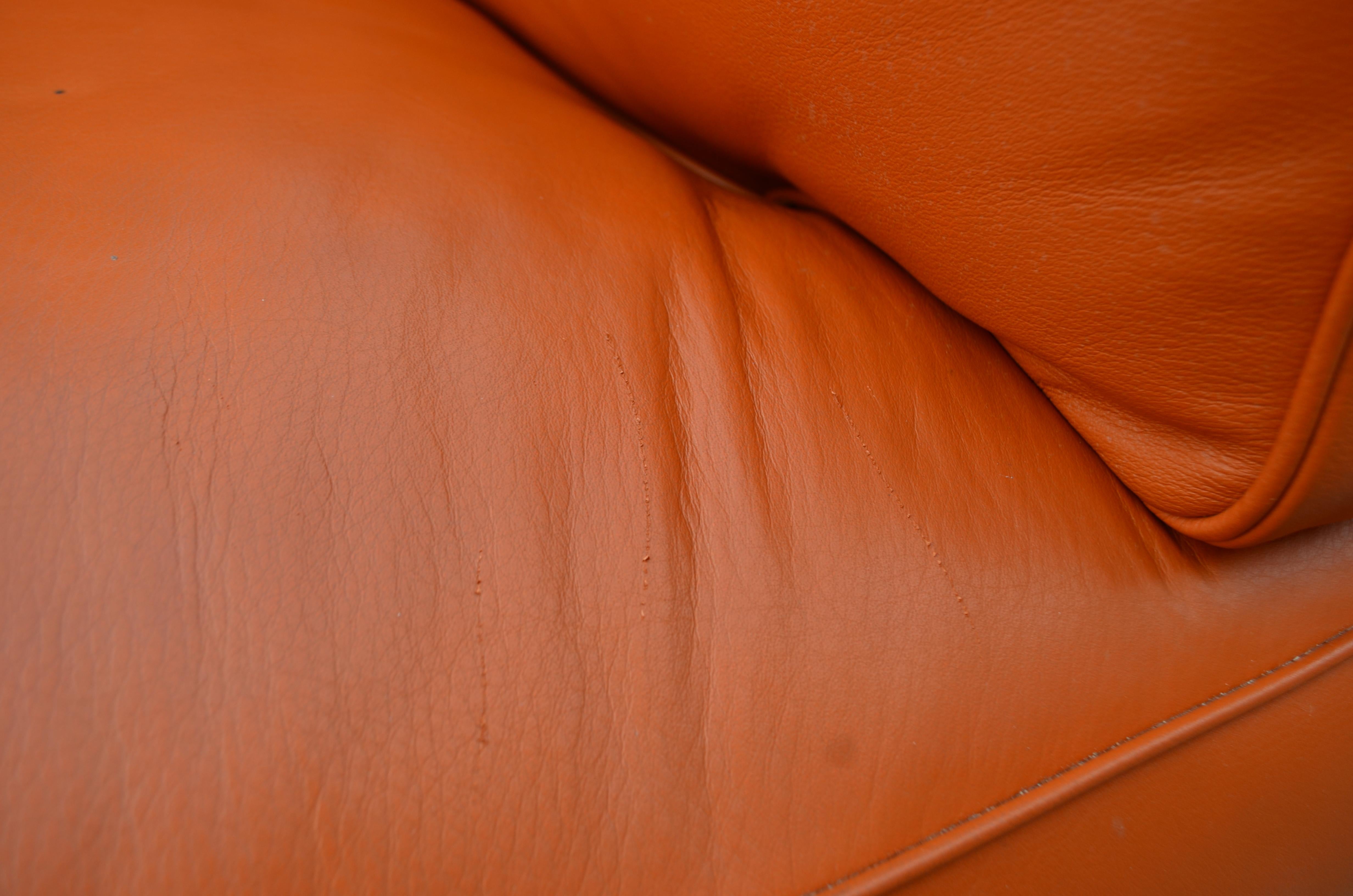 Contemporary Poltrona Frau Leather Sofa Hermes colour Model Twice by Pierluigi Cerri