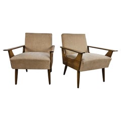 Poltrone Mid Century anni '50 in faggio