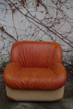 Swan Armchairs 1970s in Leather and Fabric