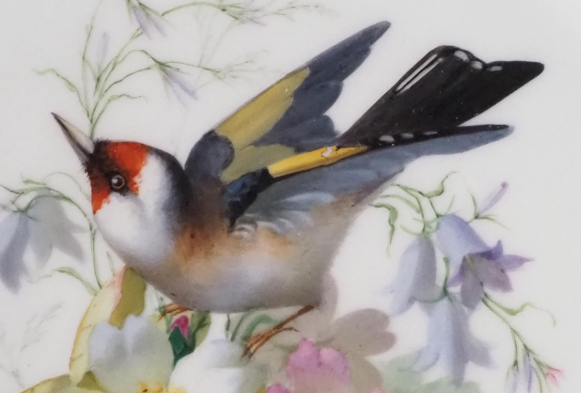 French Polychromatic Sevres porcelain plate, mid 19th century For Sale