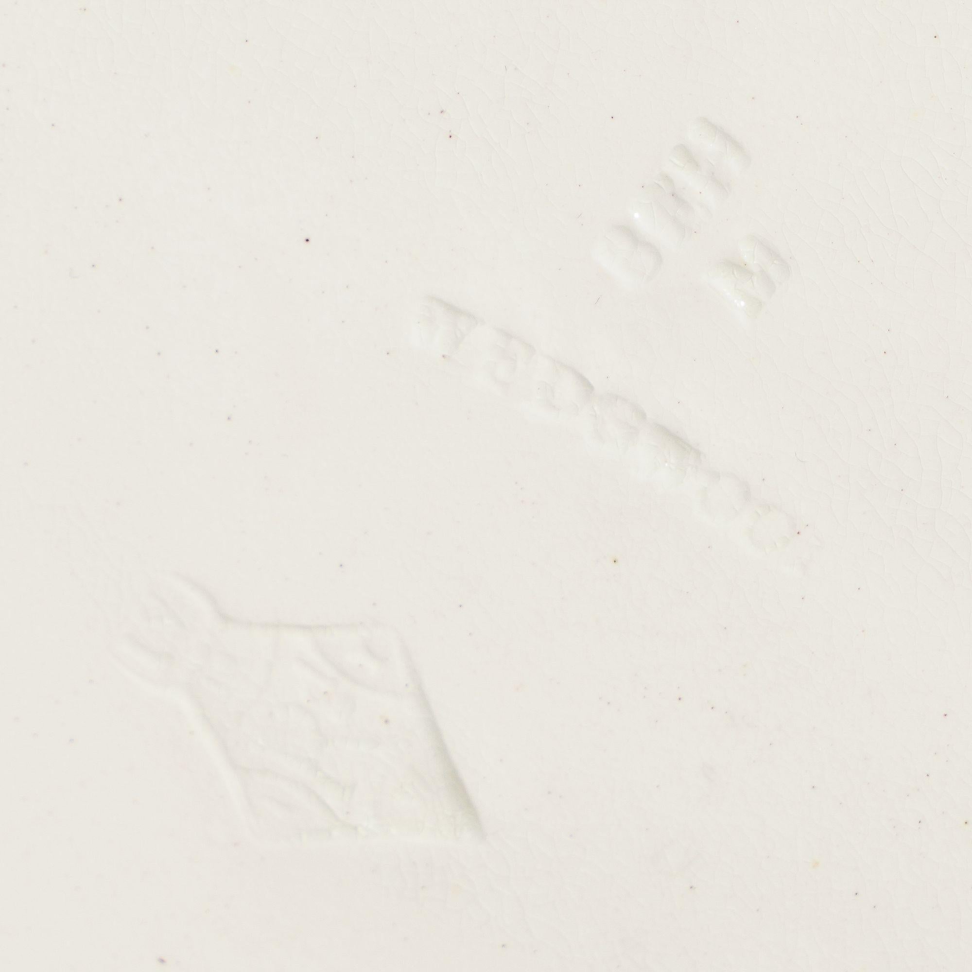 Piatto in maiolica ARGENTA smaltata in policromia di Wedgwood, 1884 ca. in vendita 5
