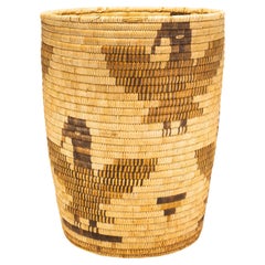Polychrome Papogo Basket