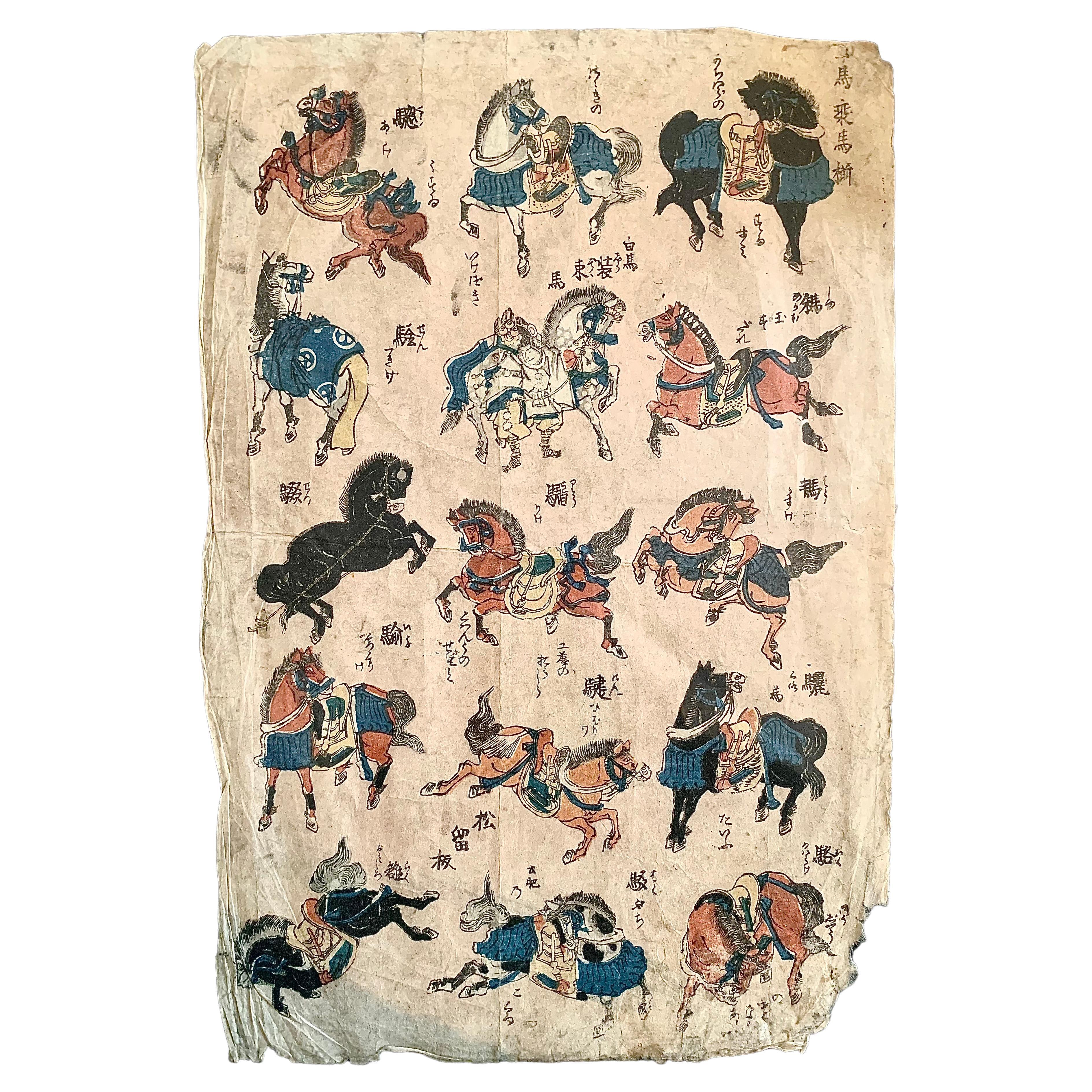 Educational sheet illustrating a series of horses depicted in various positions and gaits—walk, trot, gallop, rearing, bucking, lying, etc. Each figure is accompanied by a Japanese caption indicating the action or gait. In its subject and vignette