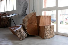 Pommele Eucalyptus Constellation