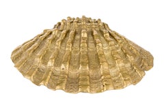 Pomello in fusione d'ottone conchiglia BR_POM 176