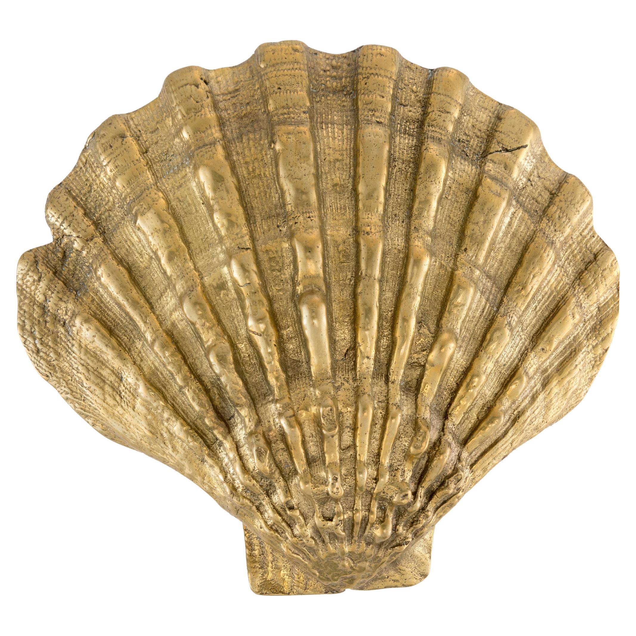 Pomello in fusione d'ottone conchiglia BR_POM 176 in vendita