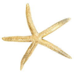 Cast brass starfish knob BR_POM175m