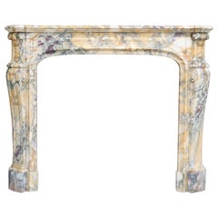 Pompadour Style Antique Fireplace of Breche De Vendome Marble, 19th Century